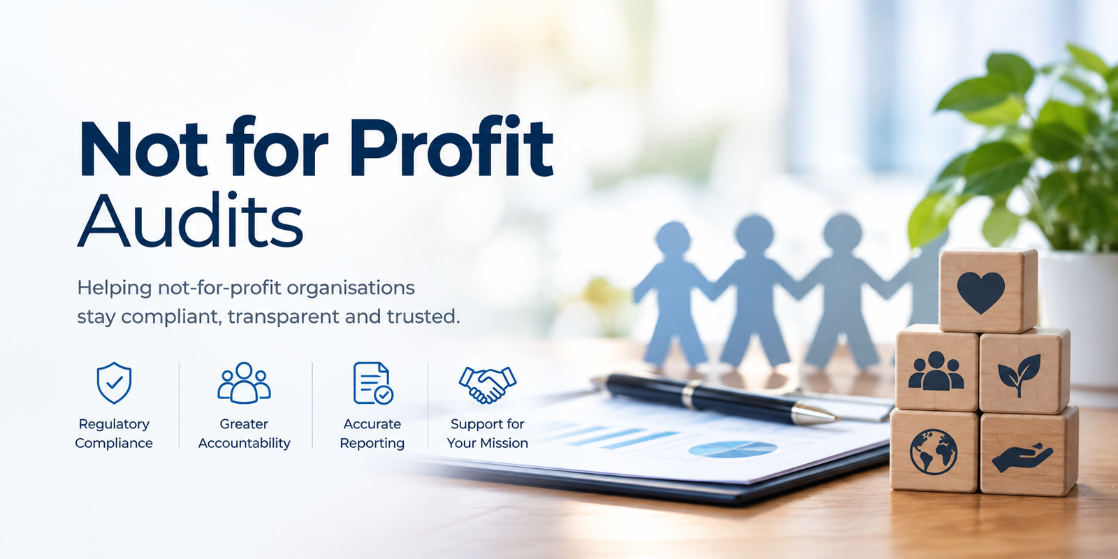 Not-for-Profit & Charity Audits