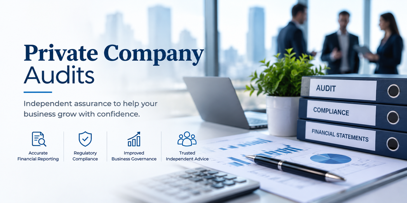 Company Audits